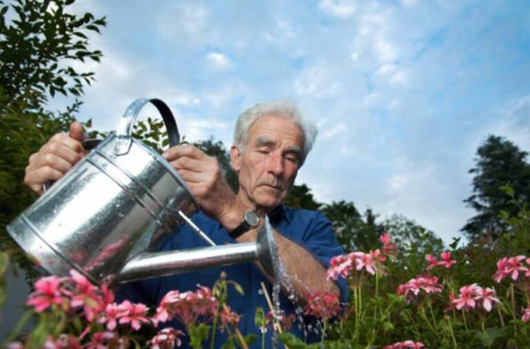 Short Motivational Story in English about the resilience and growth