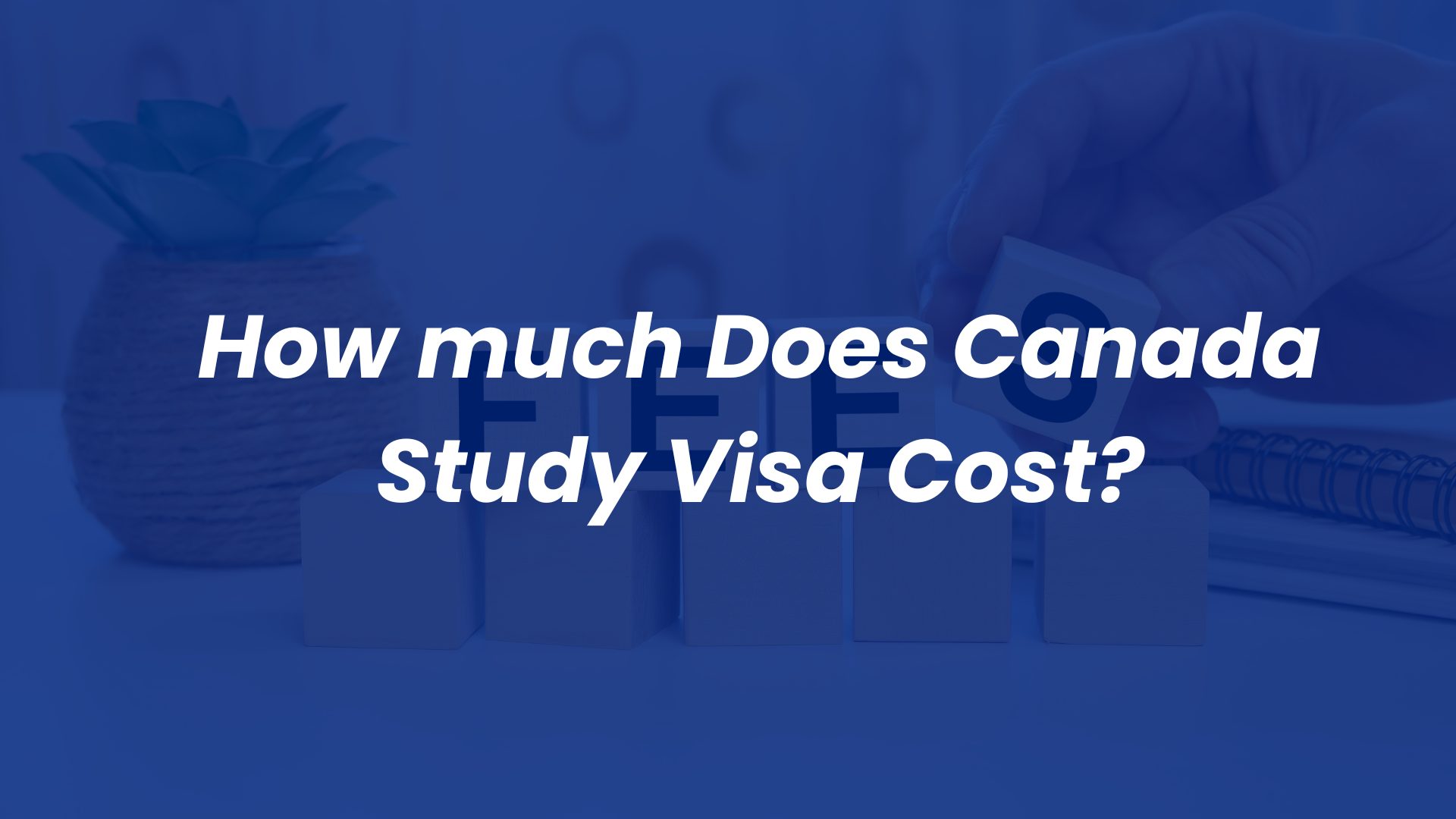 The actual cost of Canada Study Visa